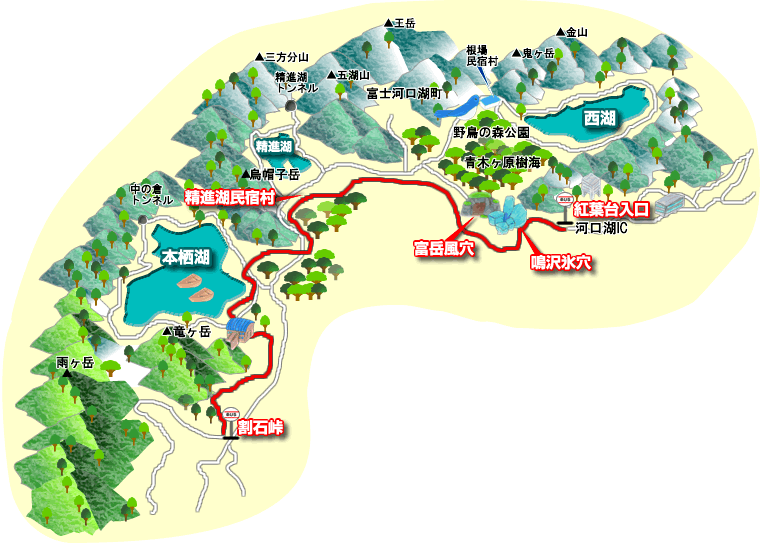 樹海コースマップ